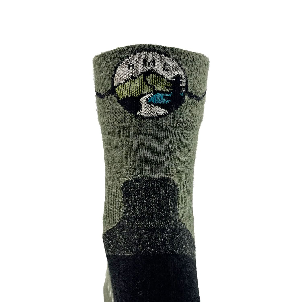 Green AMC sock with a logo on a white background. Appalachian mountain club socks