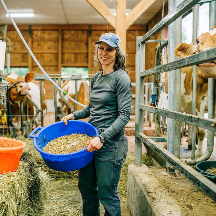 Woman wearing lightweight Merino long sleeve crew feeds dairy cows 