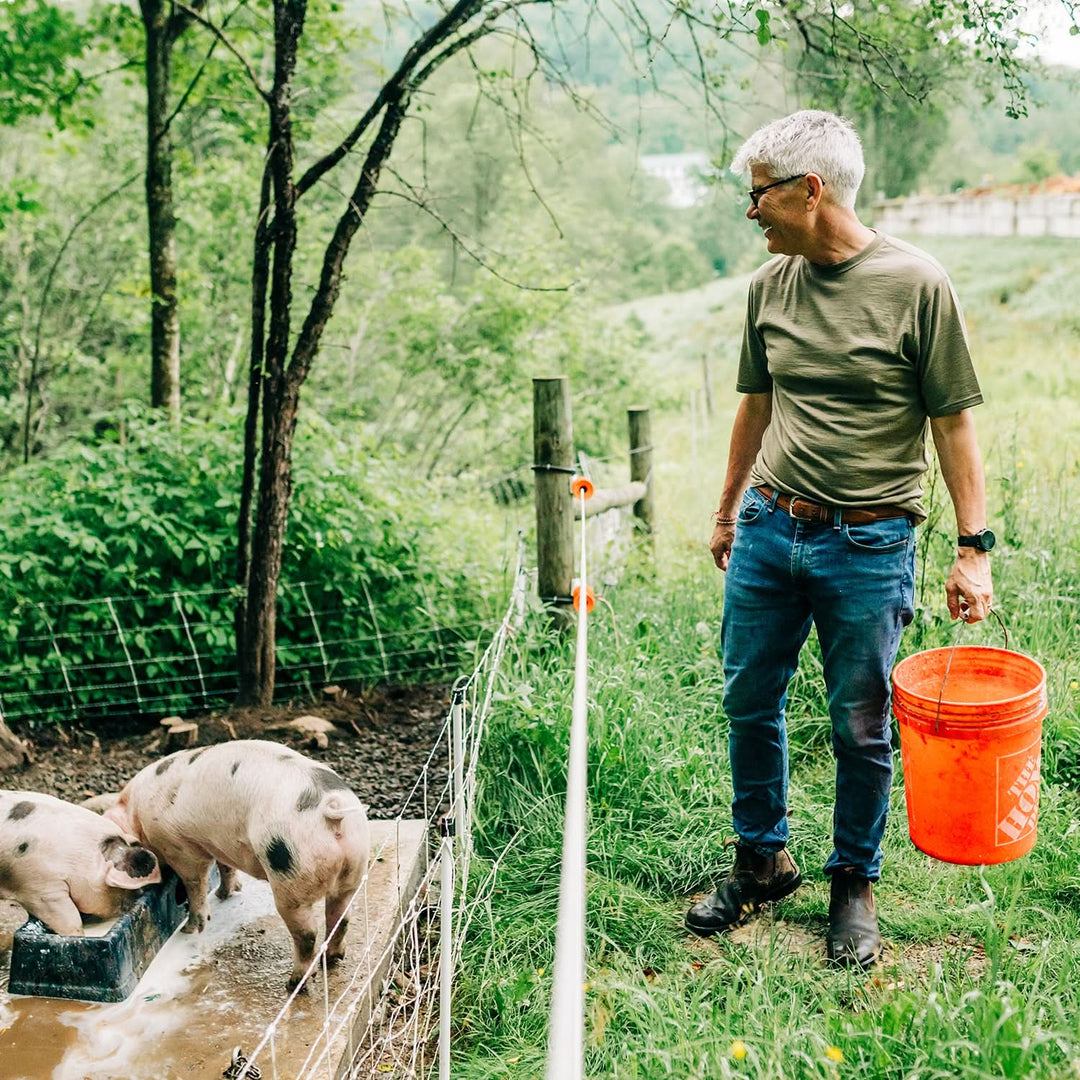 Man walking with an orange bucket near pigs in a natural setting wearing a lightweight merino t shirt 