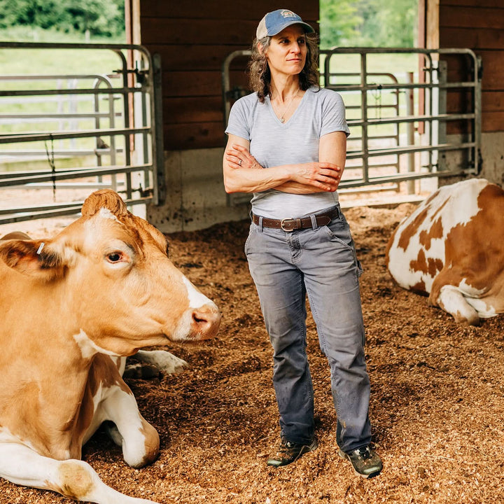 Woman wearing microweight merino wool v-neck stands with dairy cows 
