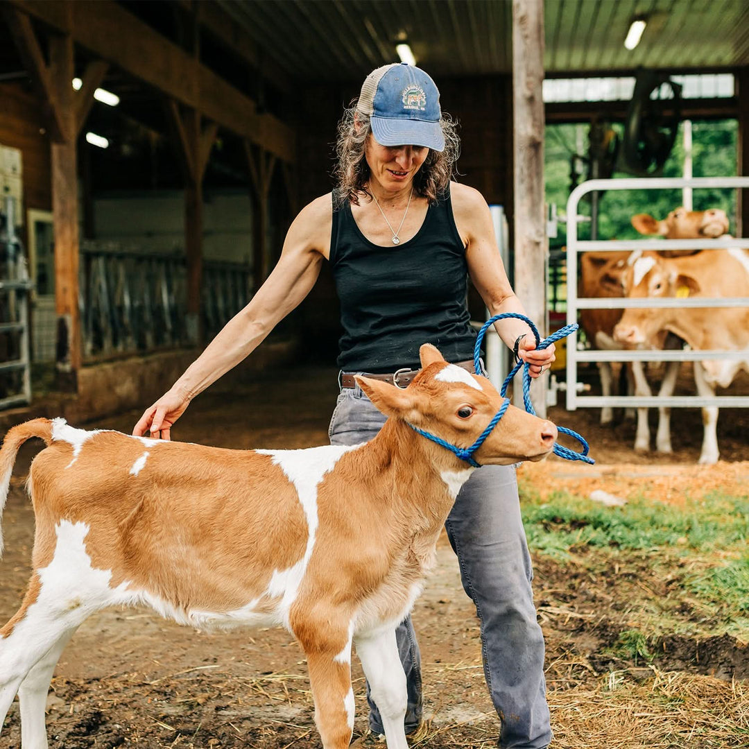 Women walks dairy calf wearing lightweight wool tank top 