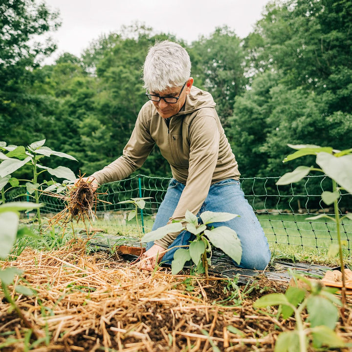 A man wearing microweight merino wool sun hoodie works in garden 